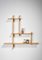 Phi-60 Medium Shelving System in Natural Birch by Jordi Canudas for Delica, Image 3