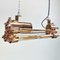 Vintage Industrial Copper Edison LED Flameproof Ceiling Strip Light 5