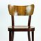 Classical Dining Chairs in Walnut Veneer from Tatra, Czechoslovakia, 1960s, Set of 4 8