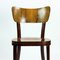 Classical Dining Chairs in Walnut Veneer from Tatra, Czechoslovakia, 1960s, Set of 4, Image 8