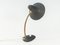 Table Lamp, 1950s, Image 3