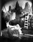 Stampa Clark Gable archivion con cornice bianca, Immagine 1