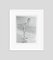 Impresión de archivo Debbie Reynolds Archival en blanco de Bettmann, Imagen 1