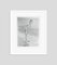 Imprimé Pigmentaire Encadrée Debbie Reynolds Blanc par Bettmann 1