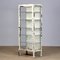 Medical Iron and Glass Cabinet, 1910s 1