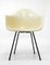 Rope Edge DAX Chair by Charles & Ray Eames for Zenith Plastics, 1950s, Image 3