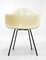 Rope Edge DAX Stuhl von Charles & Ray Eames für Zenith Plastics, 1950er 3