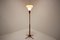 Mid-Century Floor Lamp from ÚLUV, 1960s 8