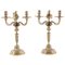 19th Century Louis XV Candelabras in Gold Gilt Bronze, Set of 2 1