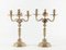 Candelabri Luigi XV in bronzo dorato, XIX secolo, set di 2, Immagine 2