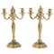 Candelabri Luigi XV in bronzo dorato, XIX secolo, set di 2, Immagine 1