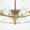 Vintage Brass and Glass 6-Light Ceiling Lamp, 1950s, Image 9