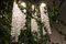 Lampada da soffitto Flower Power in vetro di Murano con ghirlanda di edera artificiale di Vgnewtrend, Immagine 3