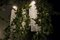 Lampada da soffitto Flower Power in vetro di Murano con ghirlanda di edera artificiale di Vgnewtrend, Immagine 4