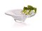 Glass Tray with Frog from VGnewtrend 1