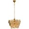 Glass and Brass Floral 3-Tier Light Fixture from Hillebrand, 1970s 1