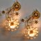 Flower Crystal Sconce from Palwa, 1960s 4