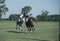 Argentine Polo Match Oversize C Print Framed in White by Slim Aarons, Image 2