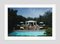 California Garden Party Oversize C Print Encadré en Blanc par Slim Aarons 1