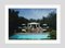 California Garden Party Oversize C Print Framed in White by Slim Aarons 1