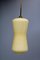 Italian Glass & Brass Ceiling Lamp from Vistosi, 1950s, Image 2