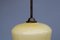 Italian Glass & Brass Ceiling Lamp from Vistosi, 1950s 7