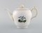 Royal Copenhagen Teapot, Sugar Bowl & Tray in Hand-Painted Porcelain, Set of 3 3