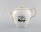 Royal Copenhagen Teapot, Sugar Bowl & Tray in Hand-Painted Porcelain, Set of 3, Image 3