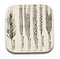 Spighe or Spikes Series Dishes by Piero Fornasetti, 1960s, Set of 6 3