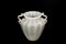 Vaso vintage in vetro di Murano bianco Pulegoso di Napoleone Martinuzzi, anni '30, Immagine 4