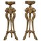 19th Century France Tripods, Set of 2 1
