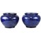 Vases Bleus du 19ème Siècle en Terre Cuite, Set de 2 1