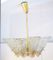 Lámpara de araña vintage de cristal de hielo de Kalmar, Imagen 8