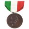 Italienische Garibaldi Bronze Medaille, 1902 1