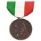 Medaglia in bronzo di Garibaldi, Italia, 1902, Immagine 1
