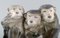 Porcelain Figure of 3 Monkeys by Knud Kyhn for Royal Copenhagen 2