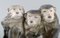 Porcelain Figure of 3 Monkeys by Knud Kyhn for Royal Copenhagen, Image 2