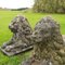 Large Pair of Stone Lions, Set of 2 4