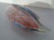 Pato italiano grande de cristal de Murano pesado, años 60, Imagen 12