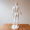 Mid-Century French Plaster Statue 12