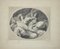 La Chemise Enlevée - Gravure à l'Eau Forte Originale par Fragonart par Benjamin Damman 1909 1