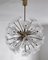 Large Brass and Glass Sputnik Chandelier 1