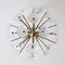 Large Brass and Glass Sputnik Chandelier, Image 4