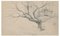 Tree and House - Charcoal by E.-L. Minet - Frühes 1900 Frühes 20. Jahrhundert 1