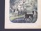 Stilt-Walking Shepherds - Lithographie Originale - 1860 1860 3