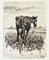 The Old Horse - Original Etching by Giovanni Fattori - 1900-1908 ca. 1900-1908 3