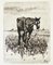 The Old Horse - Original Etching by Giovanni Fattori - 1900-1908 ca. 1900-1908, Image 3