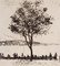New York, Battery Park - Original Radierung von JE Laboureur - 1907 1907 2