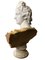 Busto di Apollo in marmo di Carrara e marmo giallo di Unknown Master, inizio 1900, Immagine 3