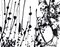 Untitled - Expression no. 1 - Original Serigraph After Jackson Pollock - 1964 1964 3